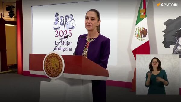 Tenemos el mejor acuerdo posible: Sheinbaum saluda exención arancelaria de EEUU a México - Sputnik Mundo