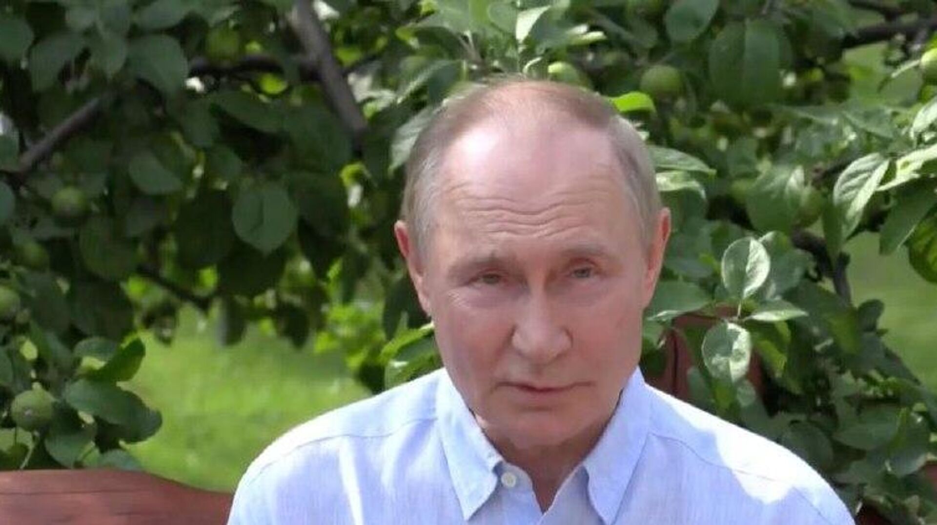 Putin califica de humillante la ausencia completa de la soberanía en Ucrania Putin califica de humillante la ausencia completa de la soberanía en Ucrania - Sputnik Mundo, 1920, 01.08.2025