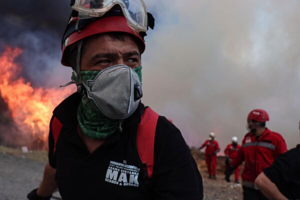 Labores de extinción de un incendio forestal en las proximidades de la ciudad turca de Bursa. - Sputnik Mundo