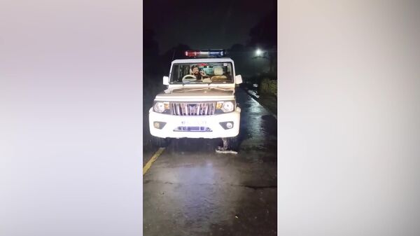 ¿Y eso también viene incluido en el equipamiento del automóvil? - Sputnik Mundo