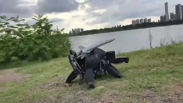 Un ingenioso inventor chino sorprende con un robot todoterreno impreso en 3D - Sputnik Mundo