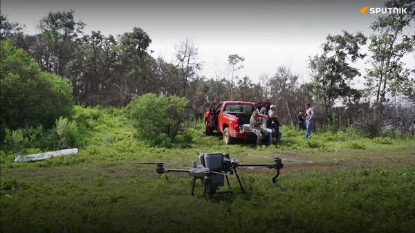 Con drones, reforestan Michoacán - Sputnik Mundo