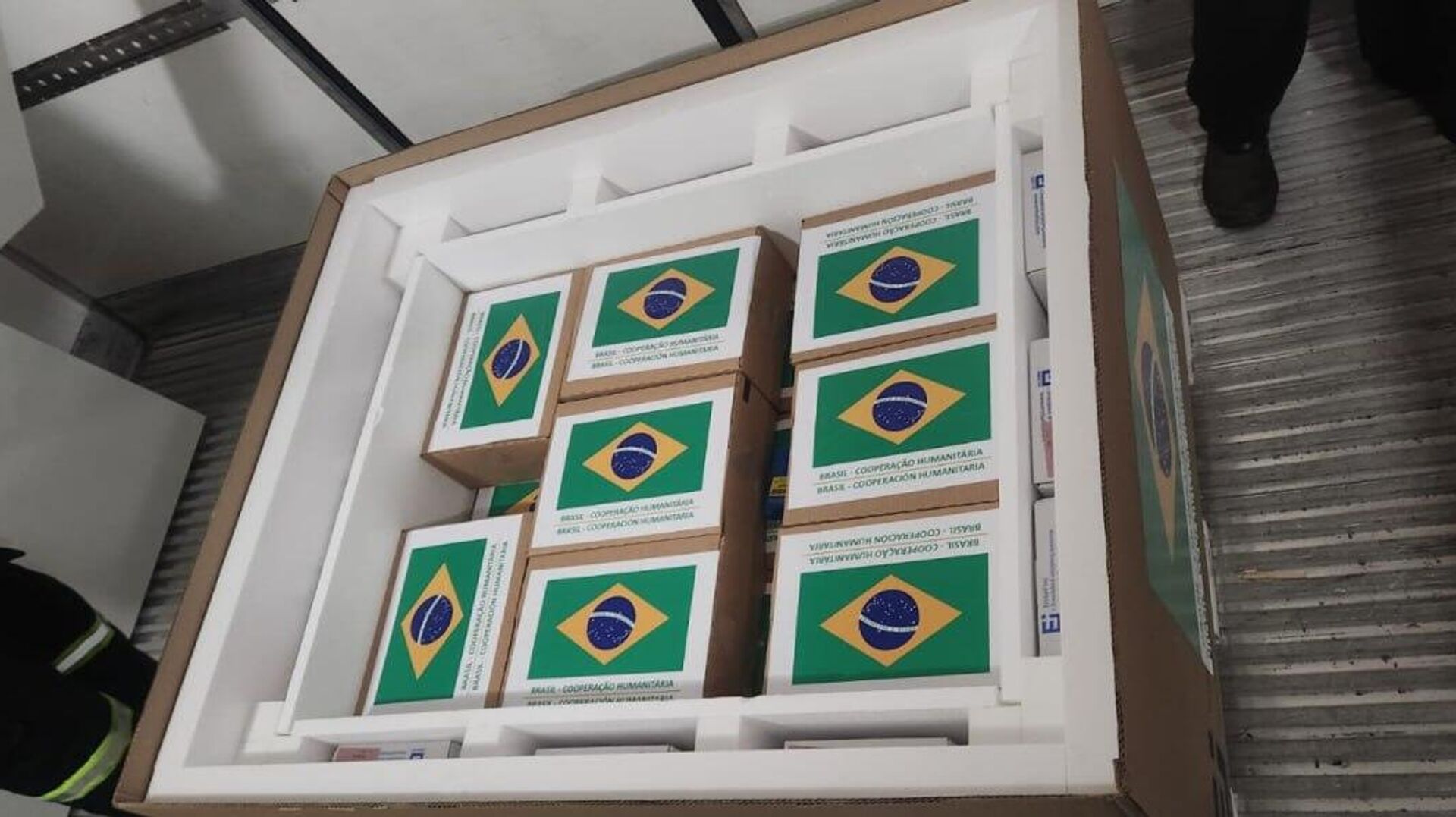 Brasil dona 5 Brasil dona 5 - Sputnik Mundo, 1920, 04.08.2025