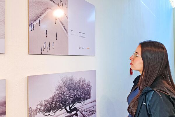 Una visitante observa fotos en la exposición del Concurso Internacional de Fotoperiodismo Andréi Stenin en la ciudad argentina de San Juan. - Sputnik Mundo