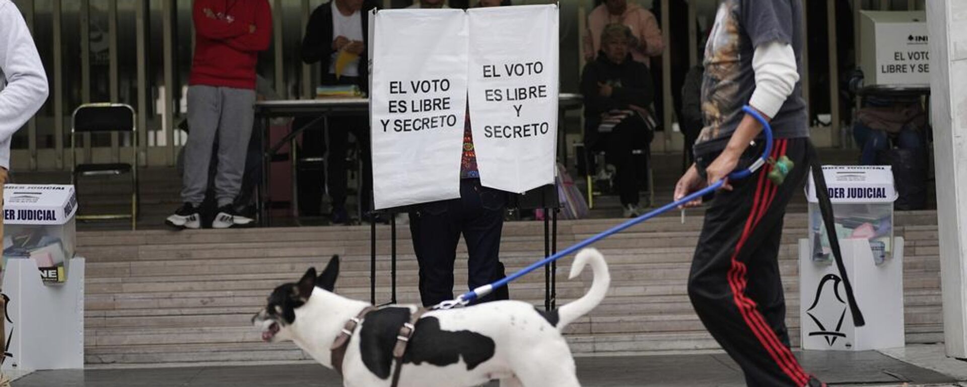 El Instituto Nacional Electoral de México se encarga de las votaciones. - Sputnik Mundo, 1920, 07.08.2025