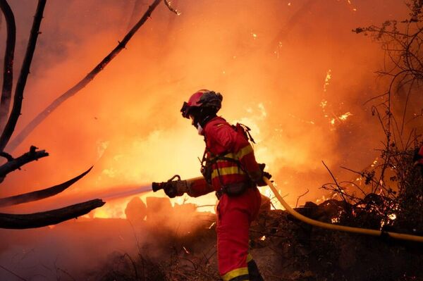 Incendios en España: las fuerzas de emergencia logran dominar un poderoso fuego en el corazón del país Incendios en España: las fuerzas de emergencia logran dominar un poderoso fuego en el corazón del país - Sputnik Mundo