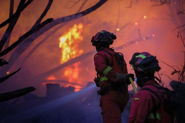 Incendios en España: las fuerzas de emergencia logran dominar un poderoso fuego en el corazón del país Incendios en España: las fuerzas de emergencia logran dominar un poderoso fuego en el corazón del país - Sputnik Mundo