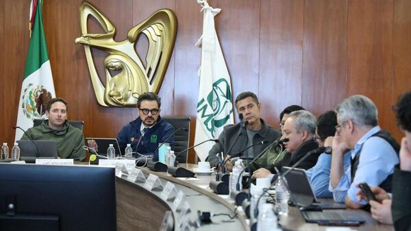 Más de 14 - Sputnik Mundo