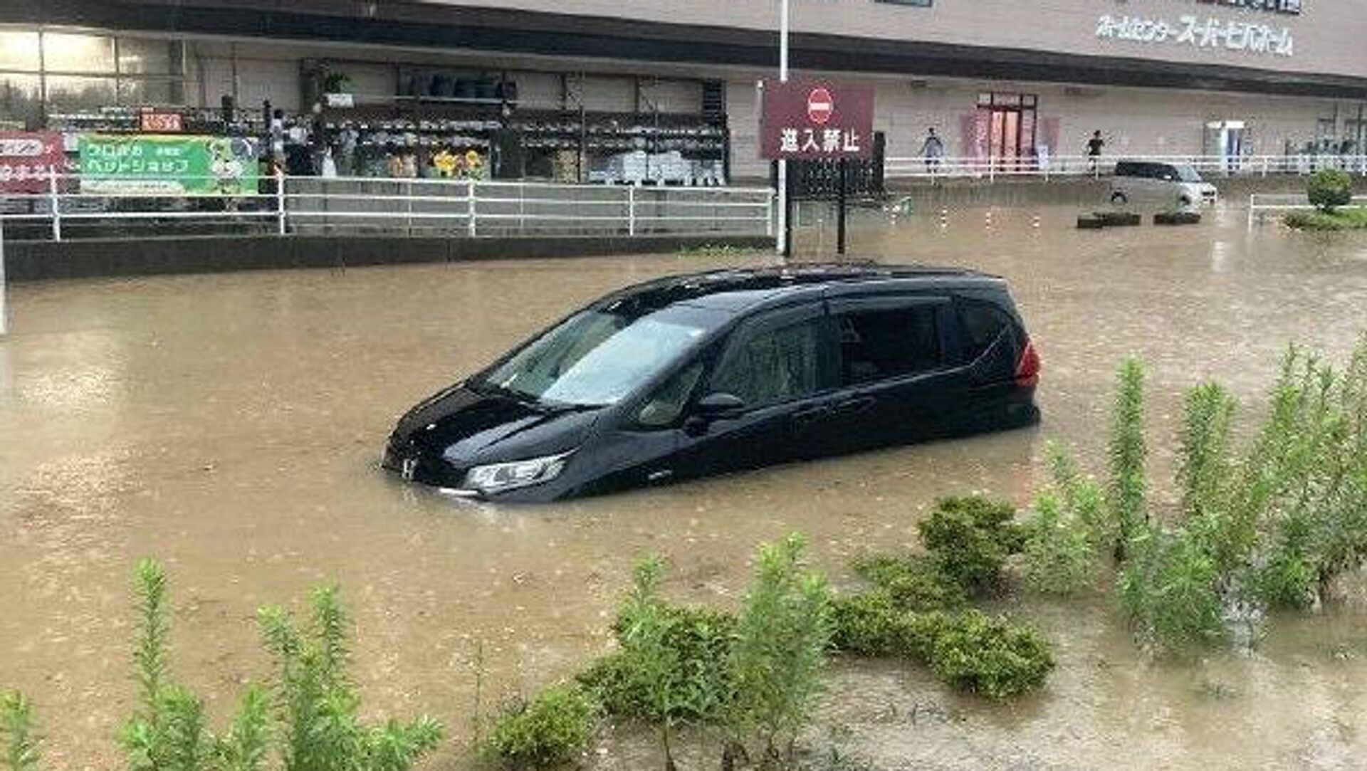 Japón emite alerta máxima para la prefectura de Kumamoto por las intensas lluvias Japón emite alerta máxima para la prefectura de Kumamoto por las intensas lluvias - Sputnik Mundo, 1920, 10.08.2025