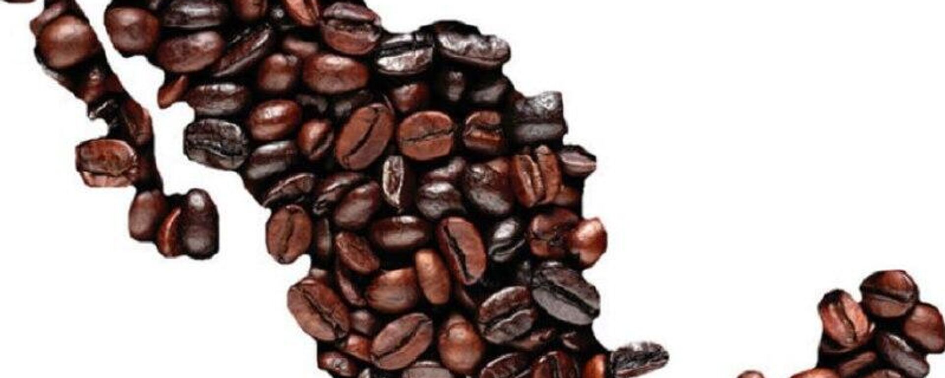 El valor de las exportaciones de café mexicano han crecido un 135% en 2025 - Sputnik Mundo, 1920, 12.08.2025