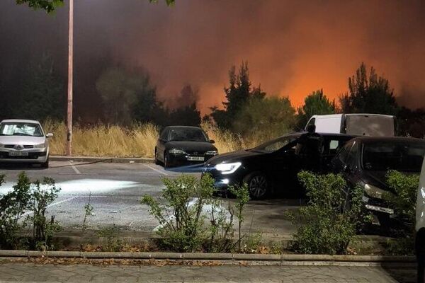 🪦 Al menos un muerto por un incendio forestal en la Comunidad de Madrid - Sputnik Mundo