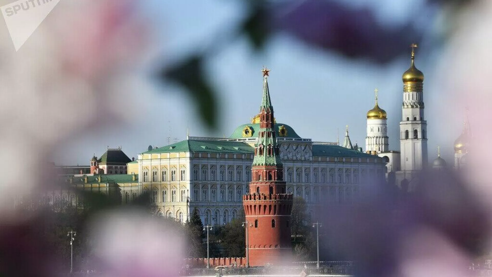 Tras la cumbre de Alaska, Putin y Trump describirán la gama de acuerdos y entendimientos que podrán alcanzar, indica el Kremlin - Sputnik Mundo, 1920, 14.08.2025