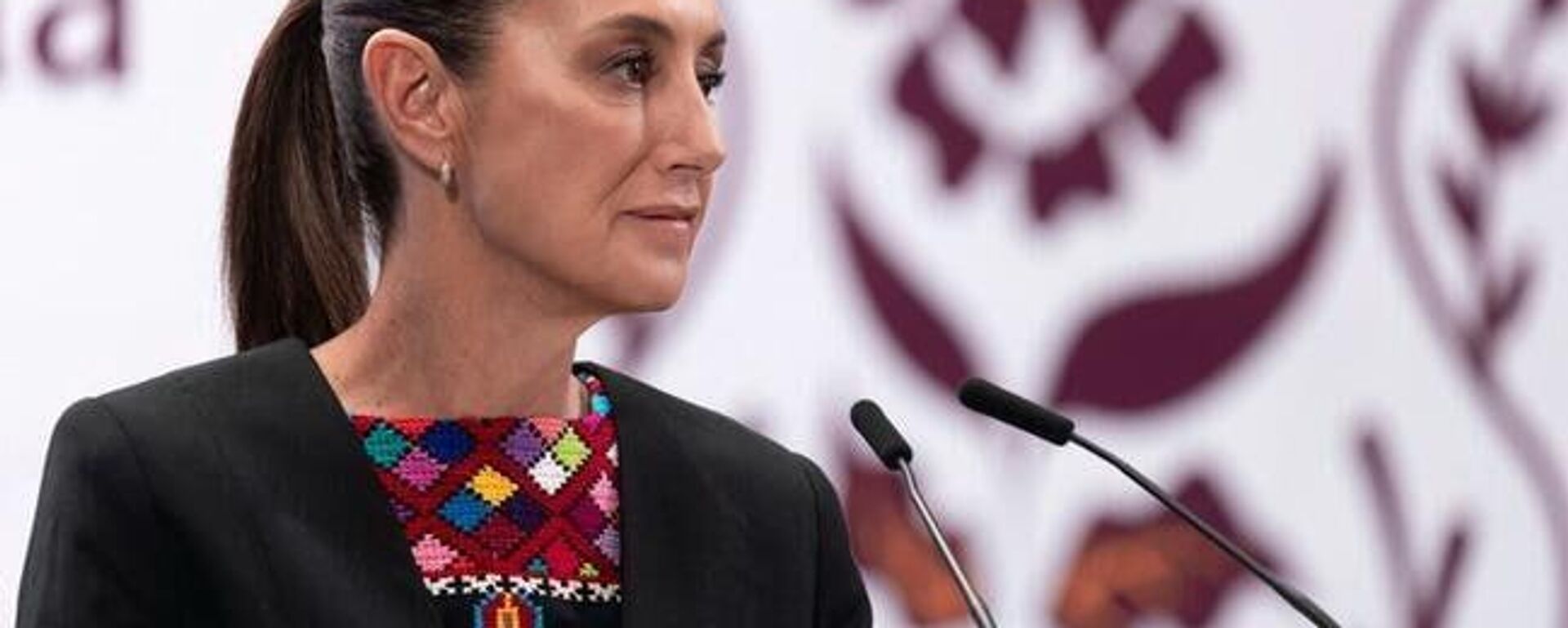 Sheinbaum confirma detención de extitular de Pemex en EEUU y pedirá su extradición - Sputnik Mundo, 1920, 28.08.2025