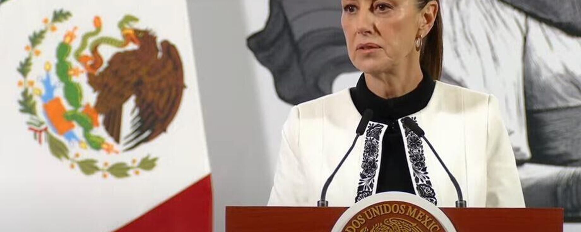 Sheinbaum exige respeto a la autodeterminación de América Latina ante el despliegue naval de EEUU en el Caribe Sheinbaum exige respeto a la autodeterminación de América Latina ante el despliegue naval de EEUU en el Caribe - Sputnik Mundo, 1920, 09.11.2025