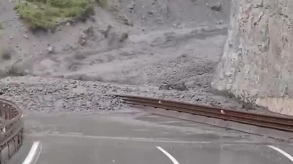 Incendios forestales vs - Sputnik Mundo