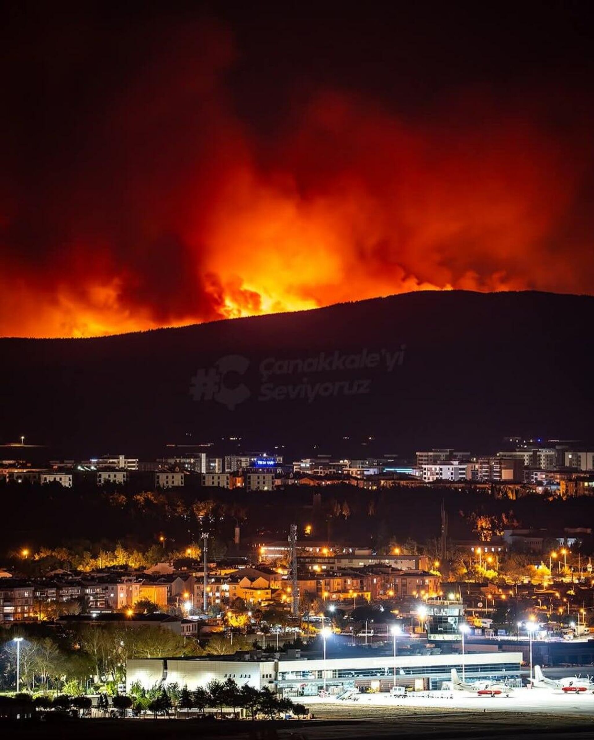 Incendios forestales golpean a Turquía Incendios forestales golpean a Turquía - Sputnik Mundo, 1920, 17.08.2025