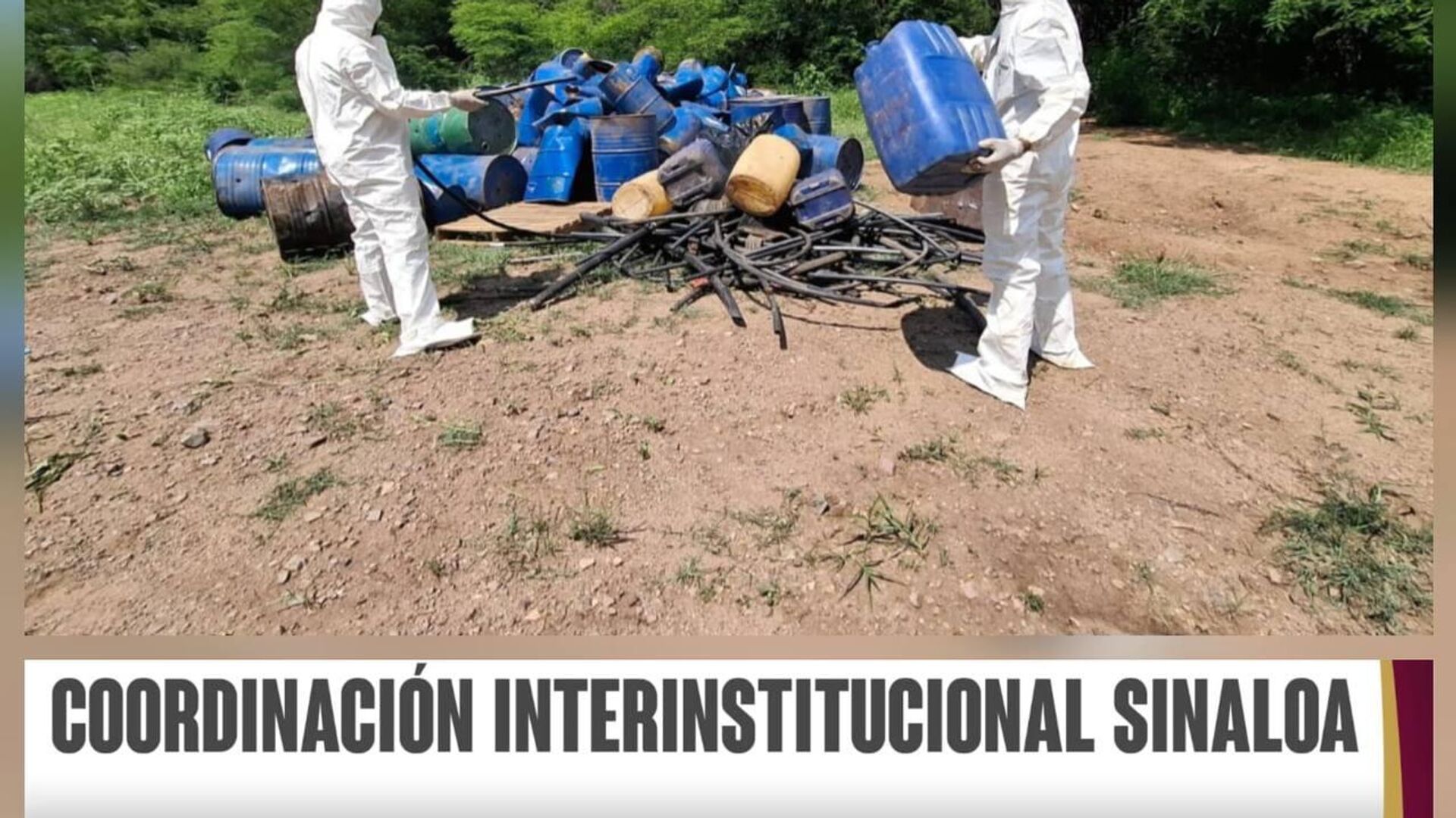 Incautan 7 laboratorios clandestinos y un plantío de marihuana en el norte de México Incautan 7 laboratorios clandestinos y un plantío de marihuana en el norte de México - Sputnik Mundo, 1920, 17.08.2025