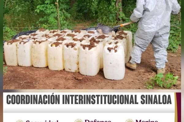 Incautan 7 laboratorios clandestinos y un plantío de marihuana en el norte de México Incautan 7 laboratorios clandestinos y un plantío de marihuana en el norte de México - Sputnik Mundo