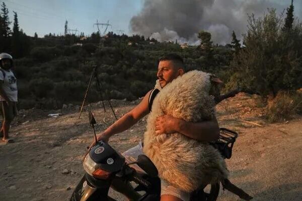 Preparativos a la cumbre Putin-Trump, la muerte de Uribe e incendios en Europa, en las fotos de la semana - Sputnik Mundo