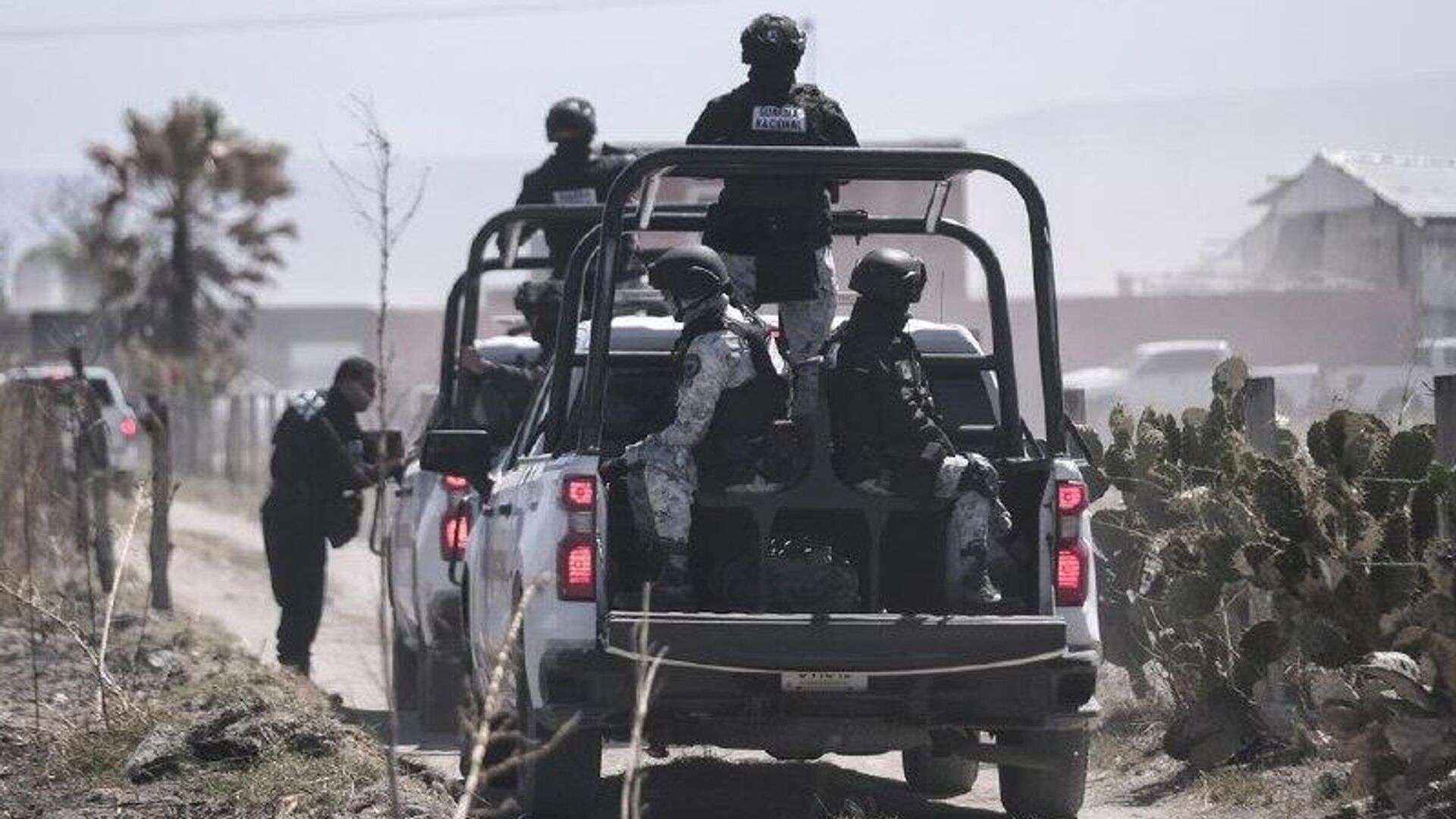 Aumenta la detención de adolescentes vinculados al crimen organizado en México Aumenta la detención de adolescentes vinculados al crimen organizado en México - Sputnik Mundo, 1920, 19.08.2025