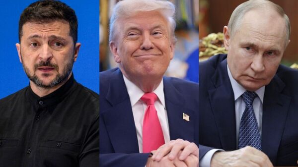 Están en marcha: EEUU confirma los preparativos para una posible reunión Putin-Zelenski - Sputnik Mundo