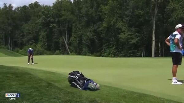 🪰 ¡Una mosca le da un premio millonario a un golfista! - Sputnik Mundo