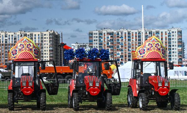 El 12.º Campeonato Nacional Abierto de Arado en la región de Leningrado, Rusia. - Sputnik Mundo