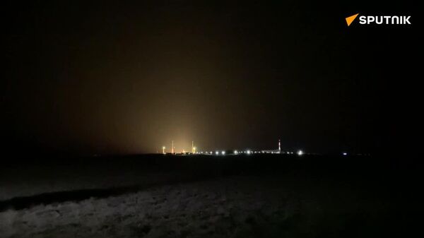 🪰 Lanzan un satélite con ratones y moscas al espacio - Sputnik Mundo