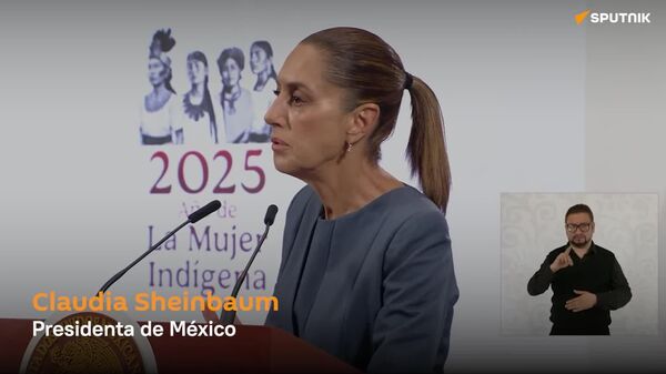 Sheinbaum cuestiona intereses de la DEA para dar información errónea sobre operativo en México - Sputnik Mundo
