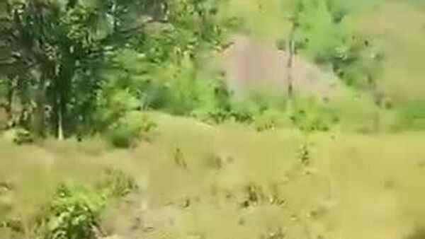 Clan del Golfo derriba helicóptero de la Policía en el noroeste de Colombia - Sputnik Mundo