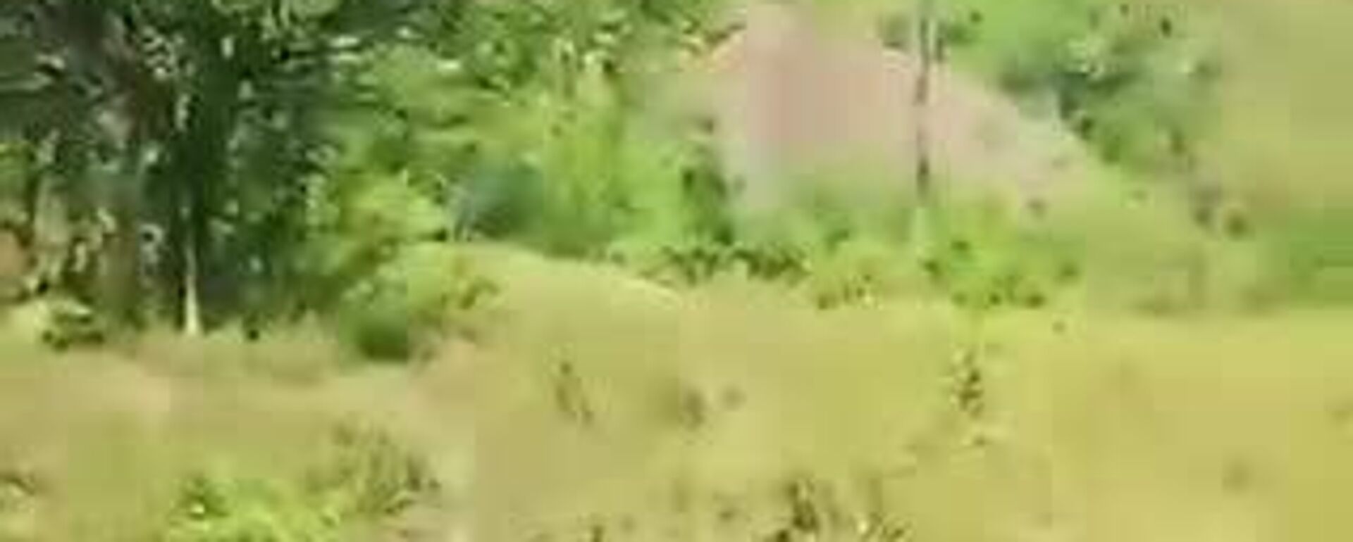 Clan del Golfo derriba helicóptero de la Policía en el noroeste de Colombia - Sputnik Mundo, 1920, 21.08.2025