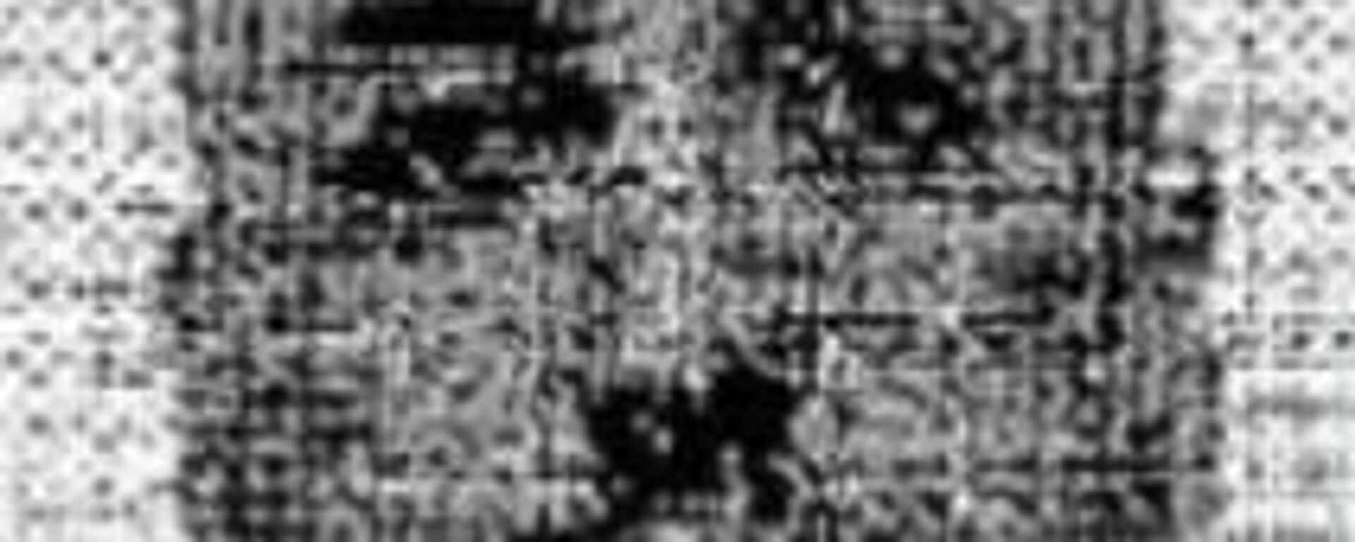 Publican la primera foto del ucraniano, arrestado en Italia en relación con el atentado contra el gasoducto Nord Stream - Sputnik Mundo, 1920, 22.08.2025