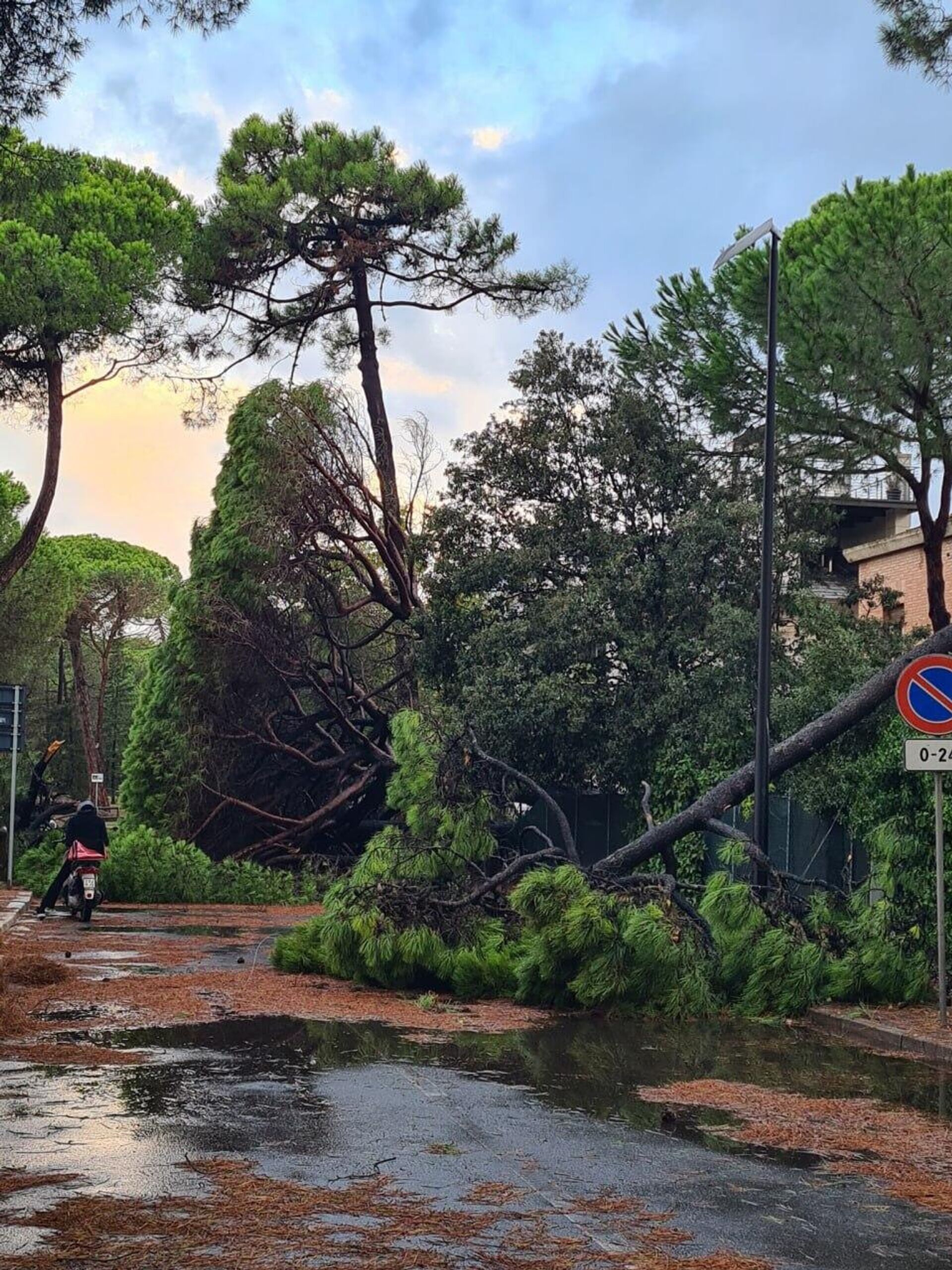La naturaleza en ira: una tormenta violenta causa daños graves e interrupciones de tráfico en el noreste de Italia - Sputnik Mundo, 1920, 24.08.2025