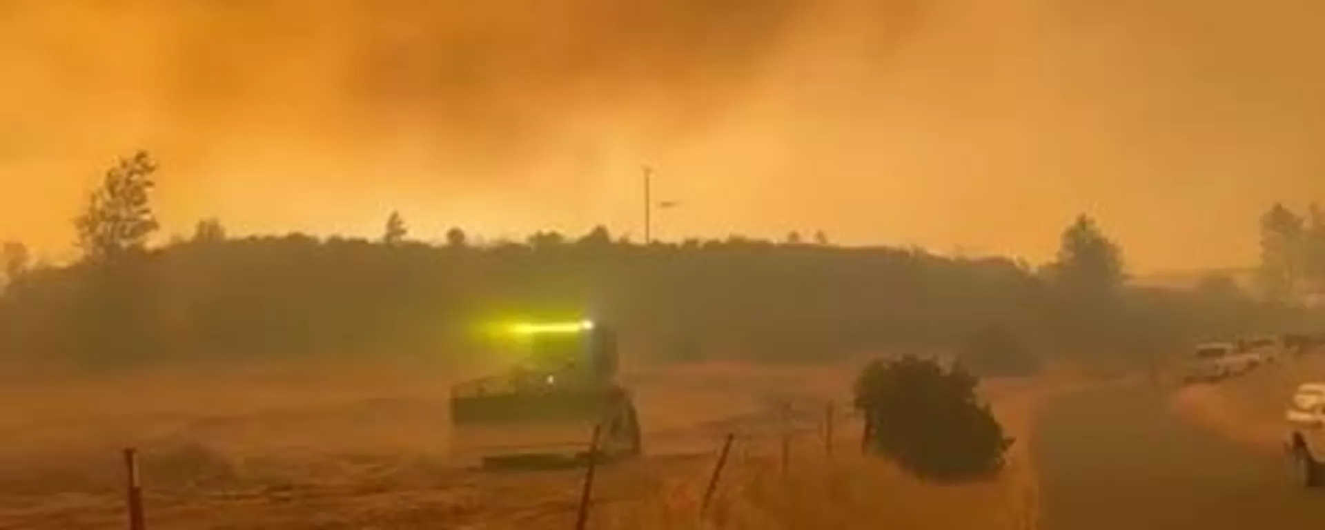 No habrá vino: incendios forestales devoran viñedos en California - Sputnik Mundo, 1920, 25.08.2025