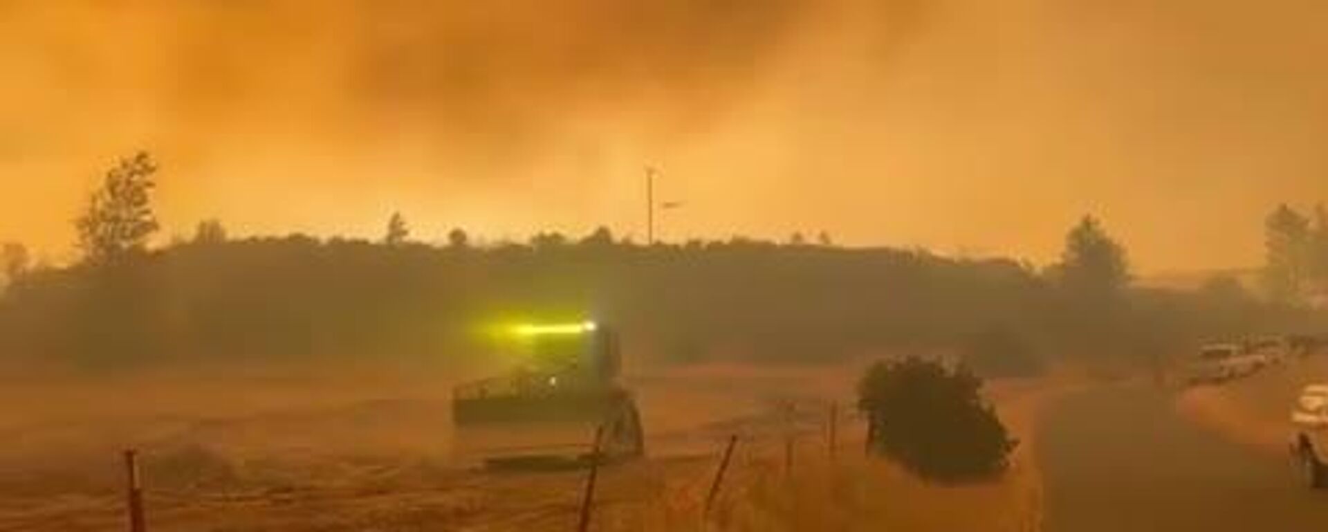 No habrá vino: incendios forestales devoran viñedos en California - Sputnik Mundo, 1920, 25.08.2025