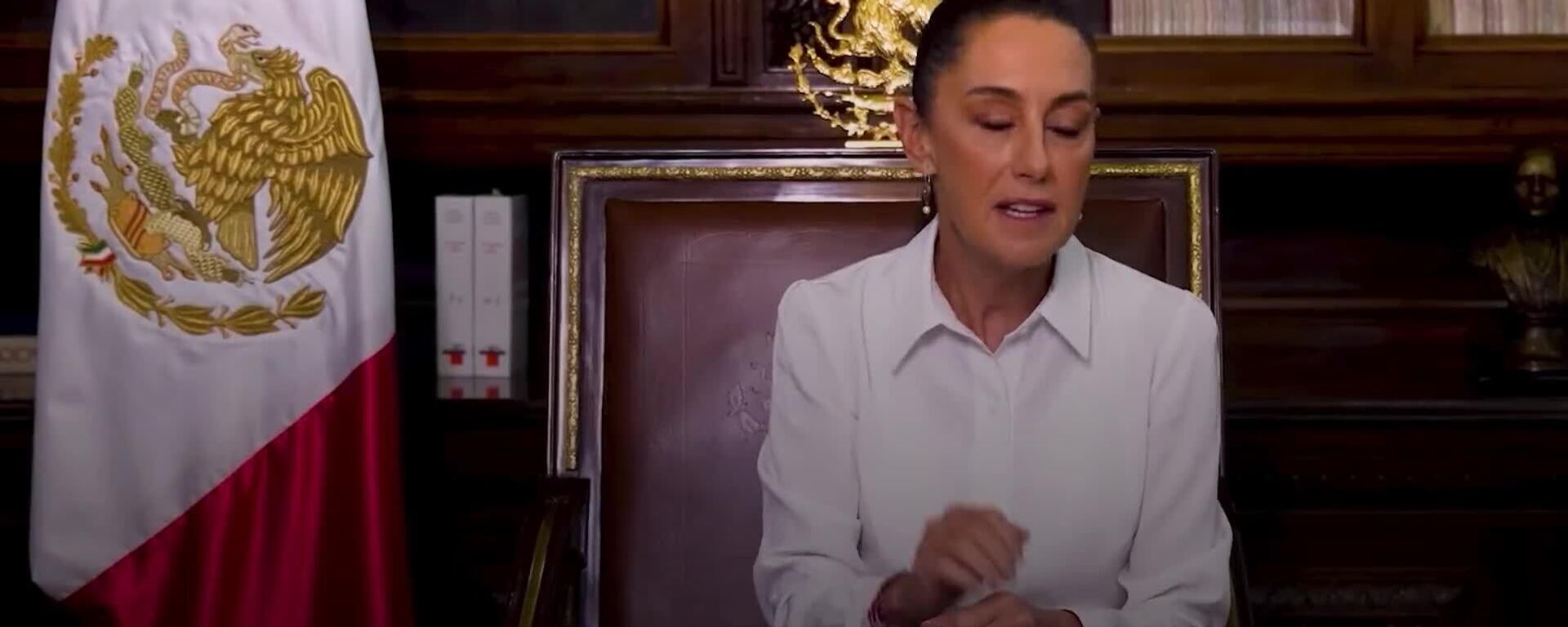 A casi un año de Gobierno, Sheinbaum mantiene altos niveles de aprobación - Sputnik Mundo, 1920, 26.08.2025