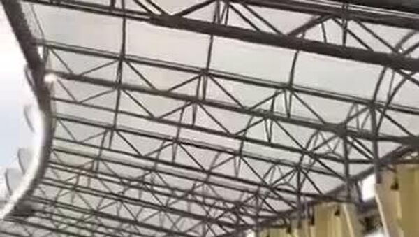 Quería festejar a su equipo desde las alturas - Sputnik Mundo