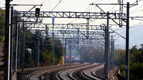 Ferrocarril (imagen referencial) - Sputnik Mundo
