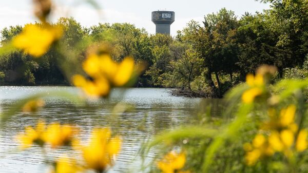 Desactivan alerta de tirador activo en Universidad Emporia State - Sputnik Mundo