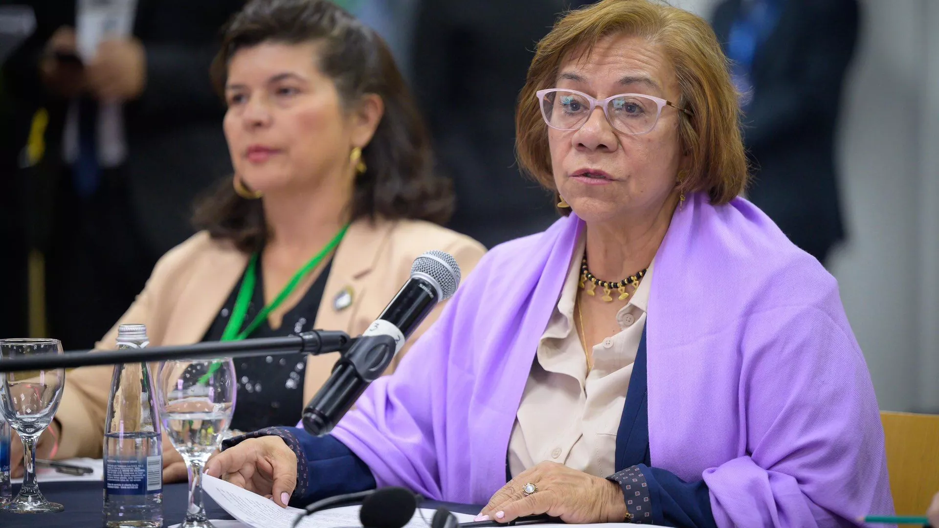 Rosa Villavicencio, canciller de Colombia Rosa Villavicencio, canciller de Colombia - Sputnik Mundo, 1920, 29.08.2025