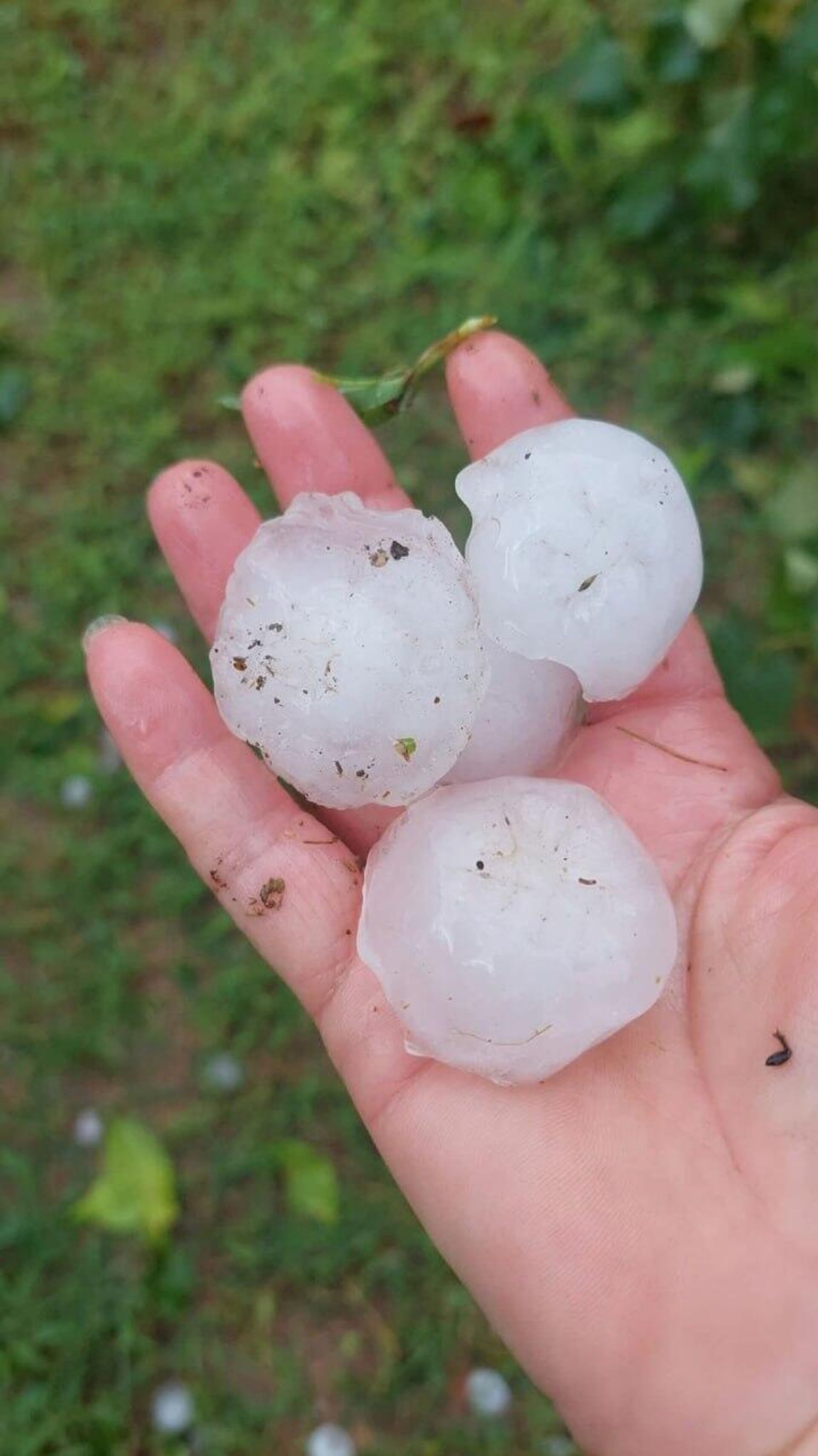 Bombas de hielo: un potente granizo arrasa con todo en Italia Bombas de hielo: un potente granizo arrasa con todo en Italia - Sputnik Mundo, 1920, 30.08.2025