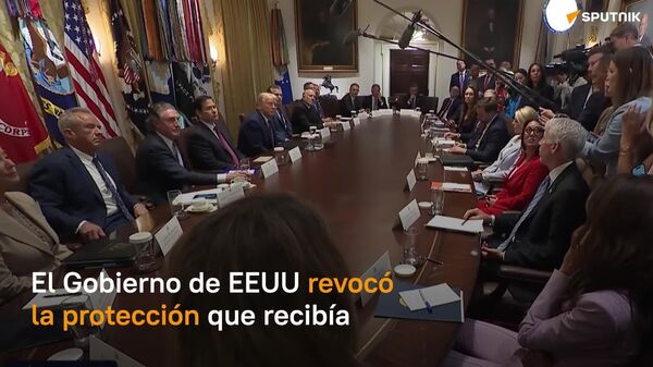 Washington retiró la protección del Servicio Secreto a Kamala Harris - Sputnik Mundo