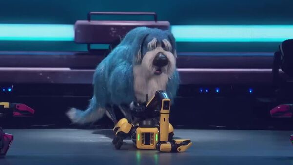 Robots de Boston Dynamics deslumbran en America’s Got Talent - Sputnik Mundo