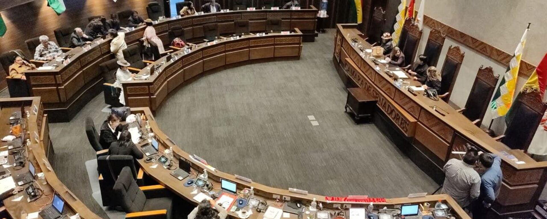 Tribunal electoral de Bolivia revela que hay más de una decena de escaños vacíos en la Asamblea Legislativa - Sputnik Mundo, 1920, 31.08.2025