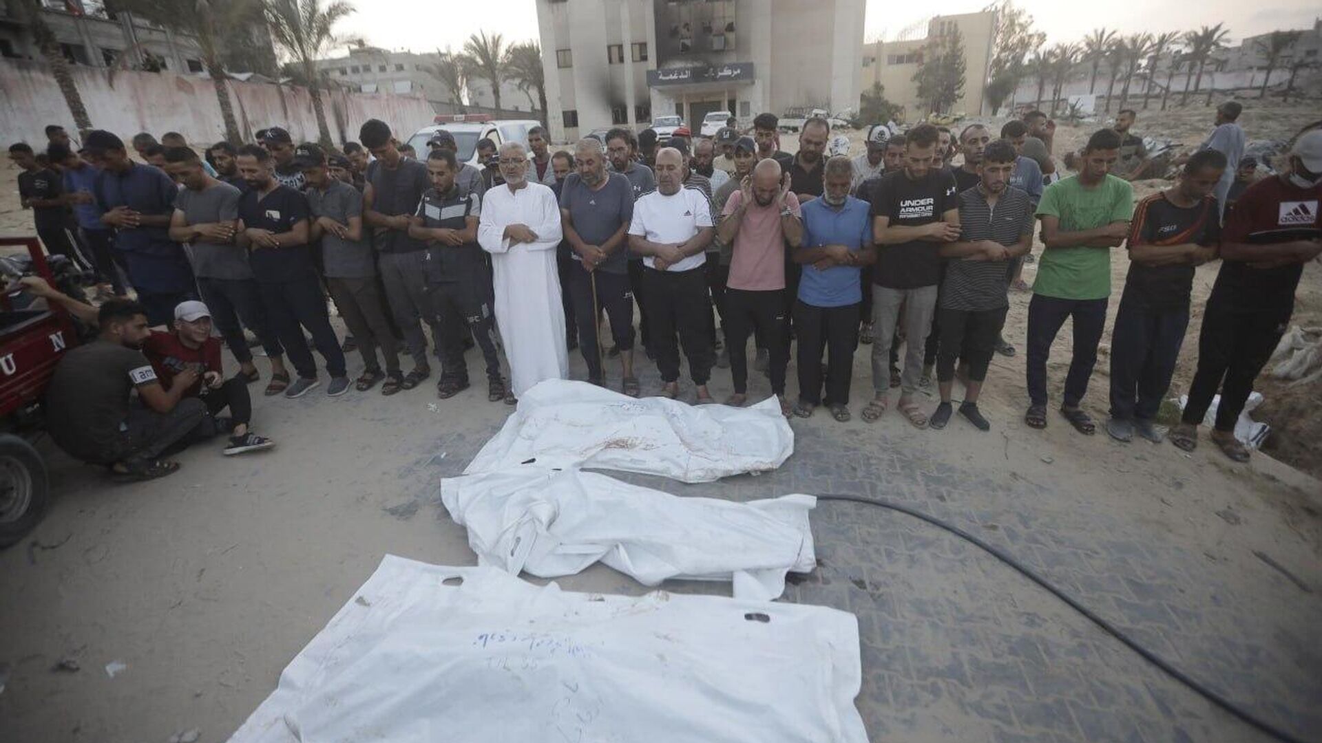 Israel comete genocidio en Gaza, concluyen los principales expertos mundiales sobre el tema Israel comete genocidio en Gaza, concluyen los principales expertos mundiales sobre el tema - Sputnik Mundo, 1920, 02.09.2025