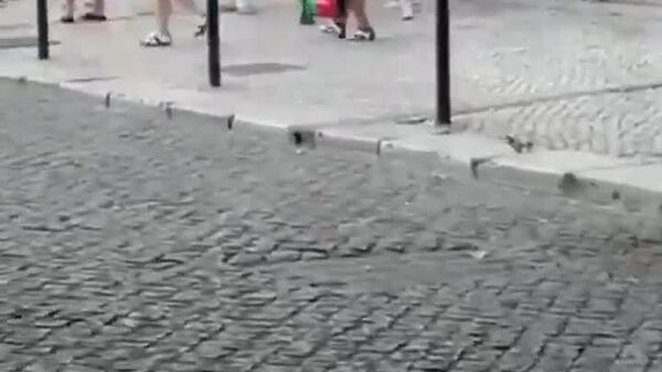 Descarrilamiento del teleférico de Lisboa deja 15 muertos y decenas de heridos - Sputnik Mundo