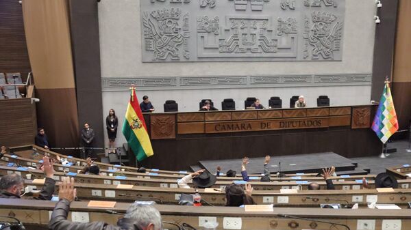 Cámara de Diputados de la Asamblea Legislativa Plurinacional de Bolivia Cámara de Diputados de la Asamblea Legislativa Plurinacional de Bolivia - Sputnik Mundo