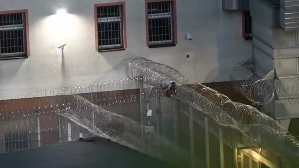 🪜 Misión imposible: un hombre intenta escapar de la prisión, pero el alambre de púas le dificulta la vida - Sputnik Mundo