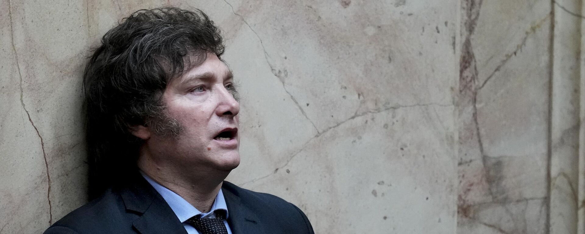 El presidente de Argentina, Javier Milei. - Sputnik Mundo, 1920, 08.09.2025