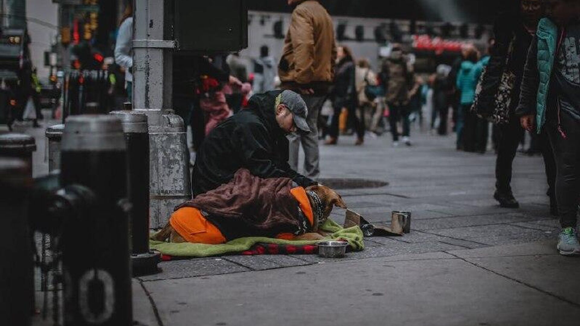 Poco más del 40% de los estadounidenses apoya la remoción de los campamentos para personas sin techo Poco más del 40% de los estadounidenses apoya la remoción de los campamentos para personas sin techo - Sputnik Mundo, 1920, 10.09.2025